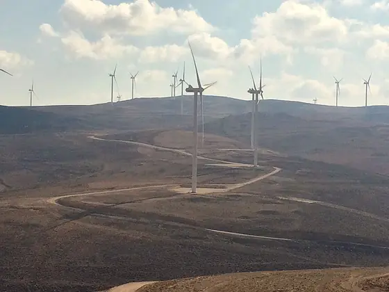 Tafila Wind Farm (117 MW)