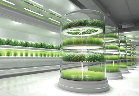Aqaba Agri-Tech Corridor